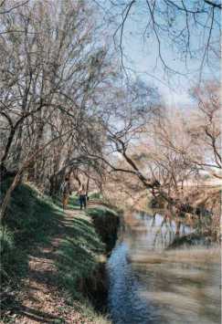 project